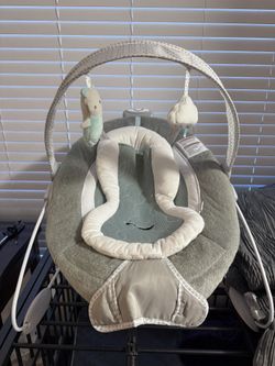 Baby Bouncer