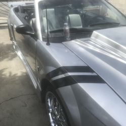 2000 Ford Mustang v6