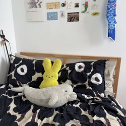 Bed Frame and Mattress