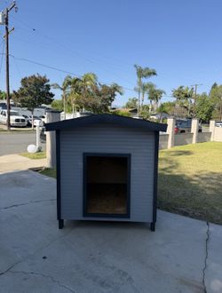 Dog House