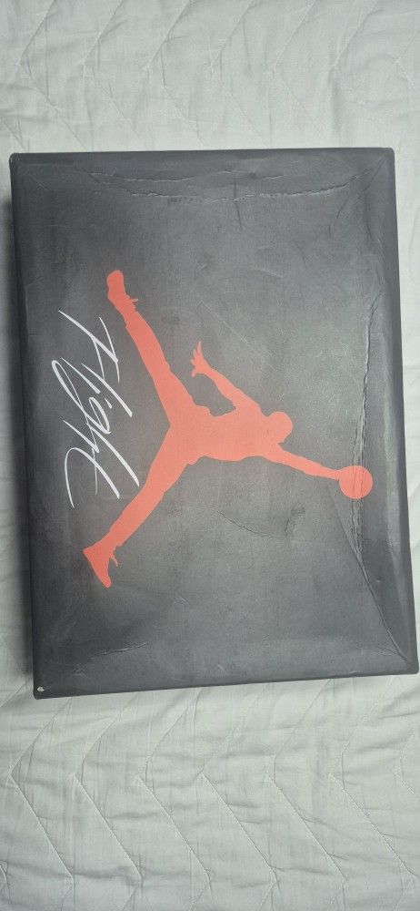 New Jordan Shoes Size 12
