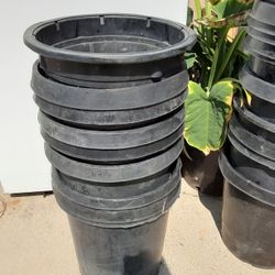 Maceteros de 15 Galones 2 Dólares Cada Uno