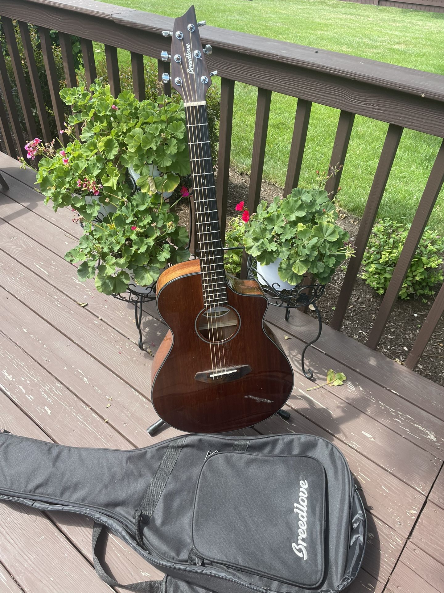 Breedlove Concert Acoustic Electric Guitar