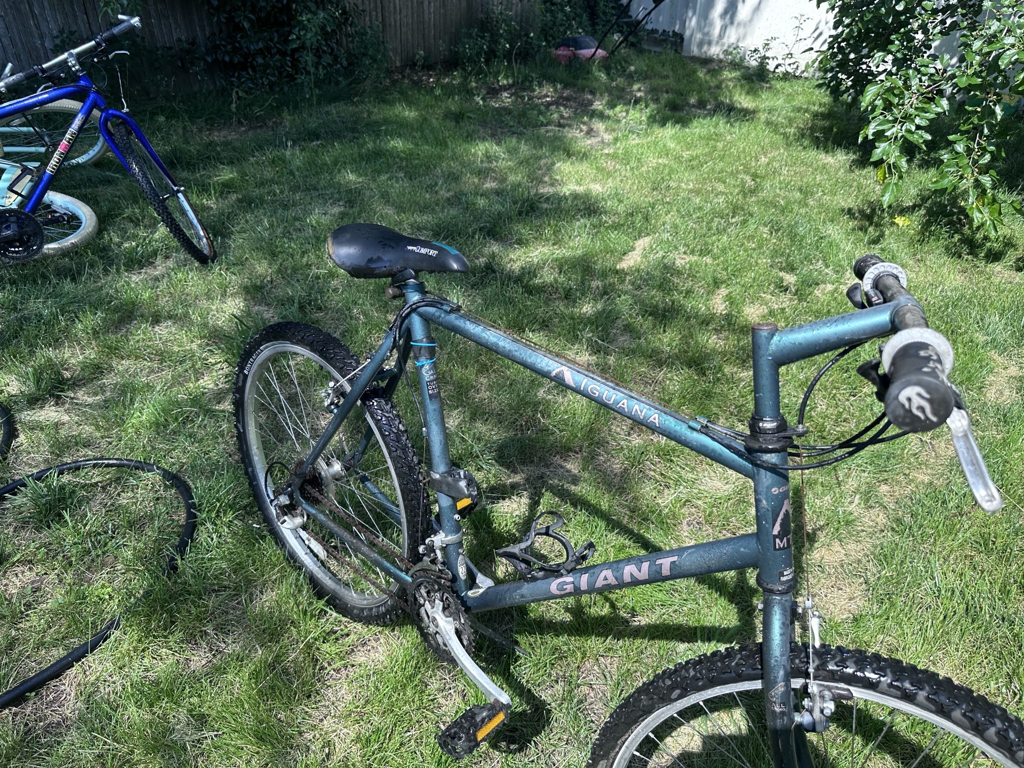 GIANT IGUANA cycles BIKE 26” wheel bicycle tall 22” frame