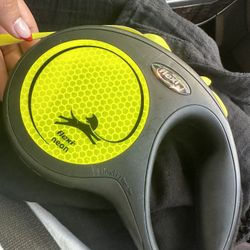 Flexi Leash For Dogs 