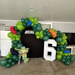Balloon Garland And Decorations