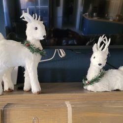 FREE White Reindeer 