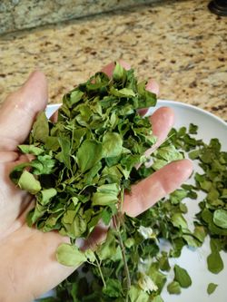 Moringa fresh leaf 50 grams organic