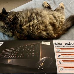 Gaming Keyboard And Mouse