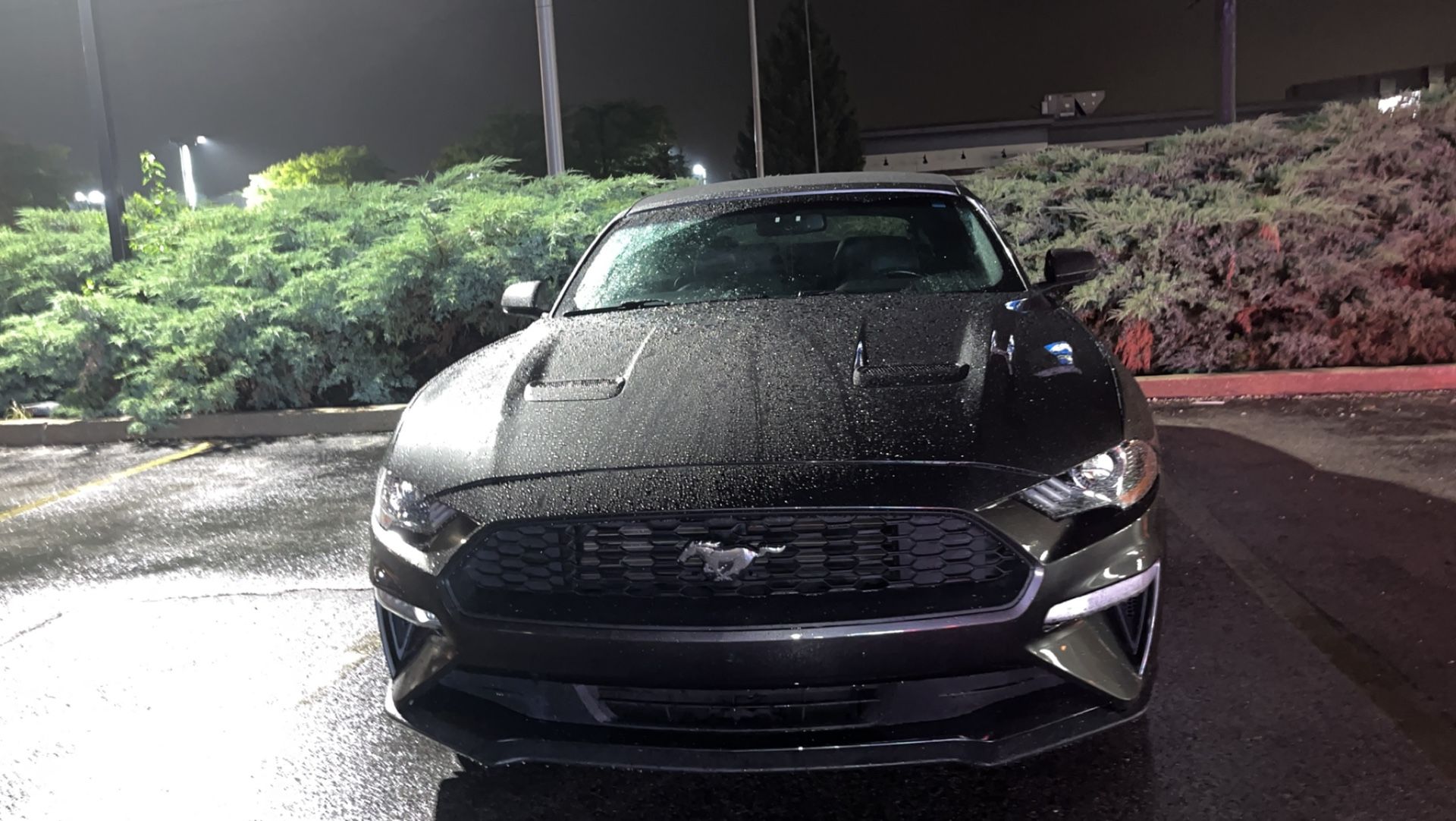 2020 Ford Mustang