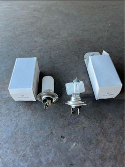H7 12V 55W Halogen Bulbs
