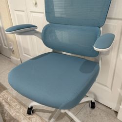 TRALT Office Chair - Ergonomic Desk Chair with Adjustable Lumbar Support, Mesh Computer Chair, Executive Chairs for Home Office Comfortable Lumbar Sup