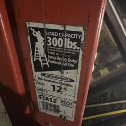 12ft Werner Ladder