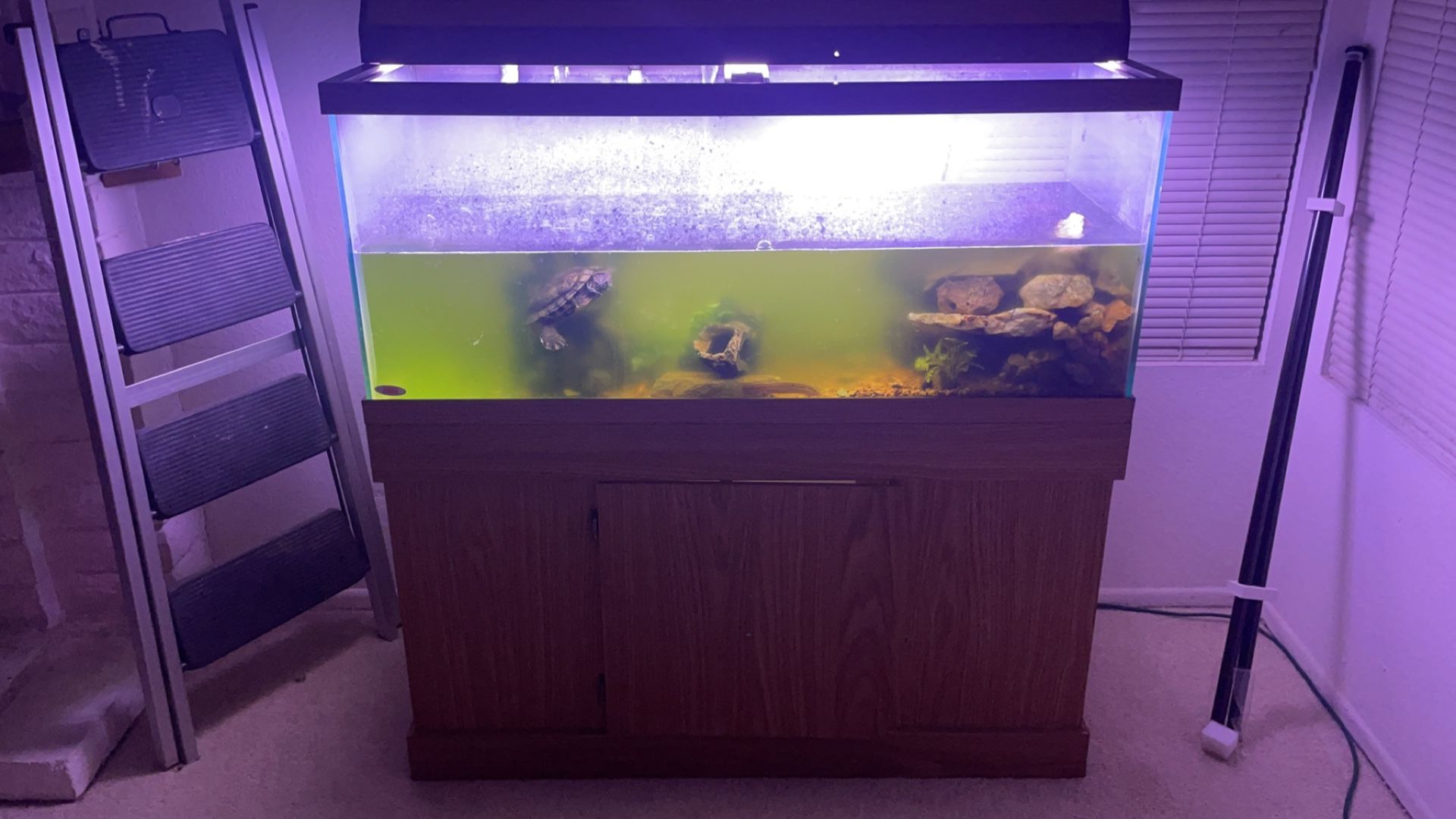 Fish Tank With Filter 