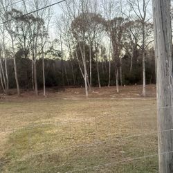 Dump Your Broken Concrete — FREE