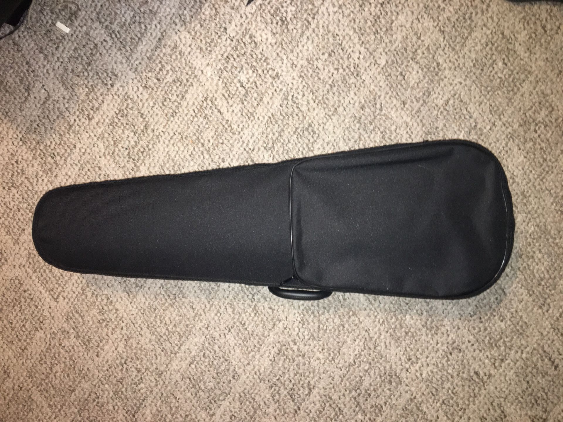 Violin Case and extra parts