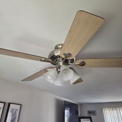 Hunter Ceiling Fan With Lights And Reversible Paddles