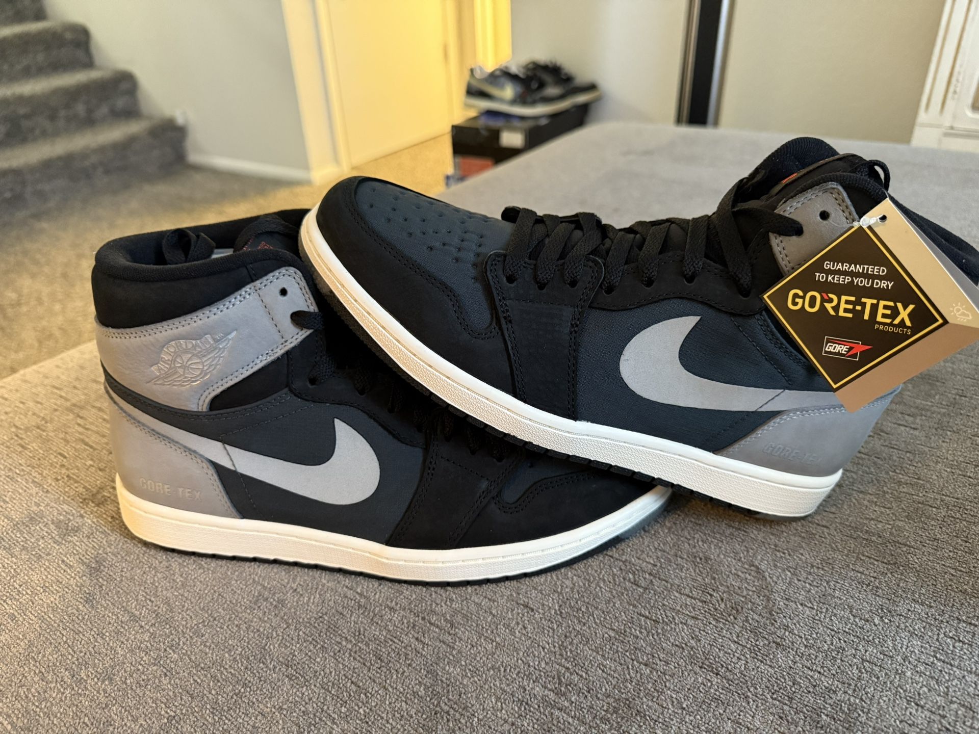 Jordan 1 High Element (Gore-Tex)