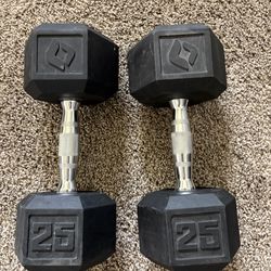 25 Pound Dumbbells