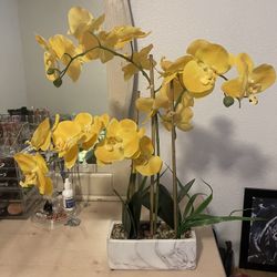 Fake Yellow Flower Plant
