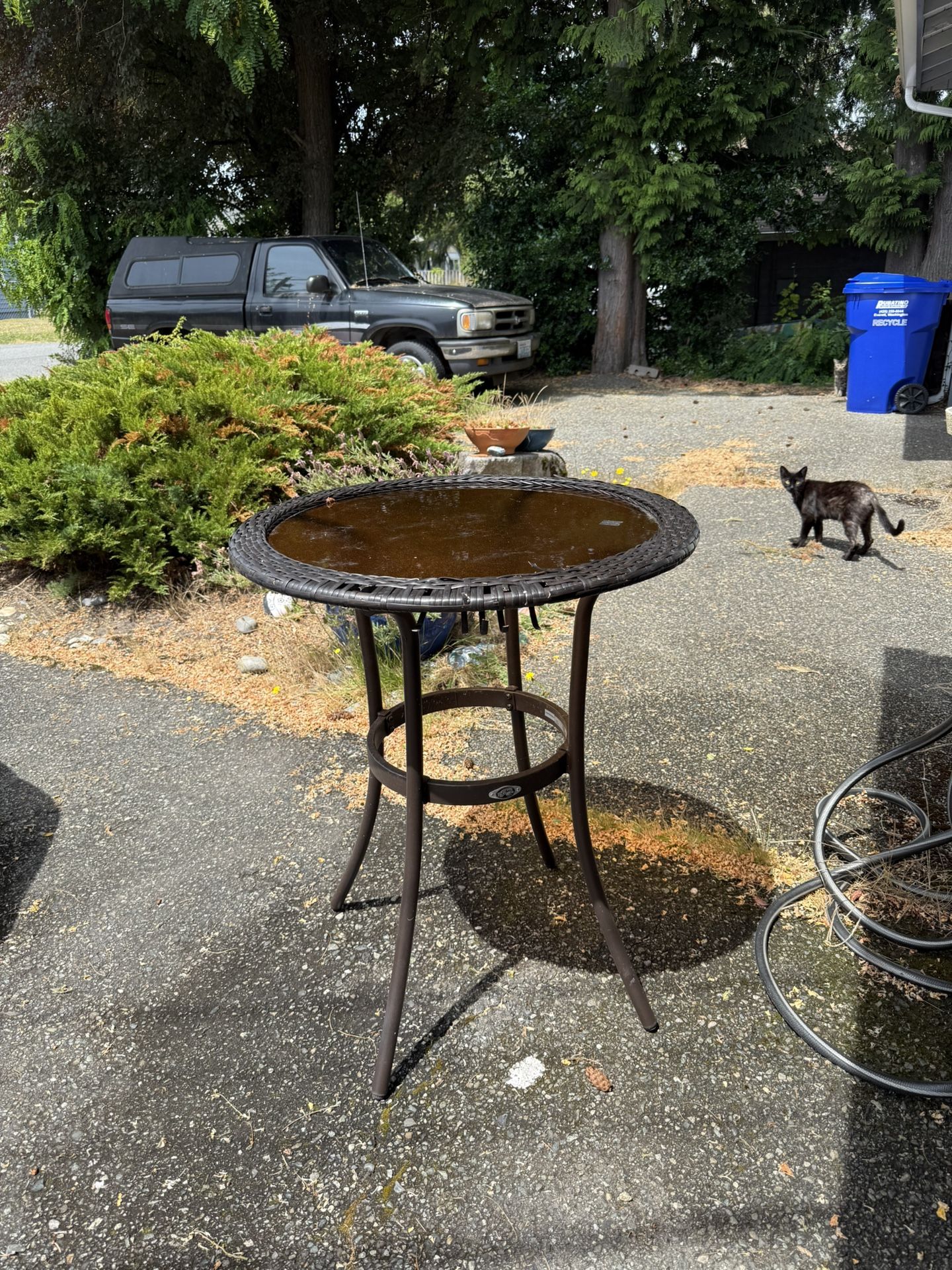 Free Items