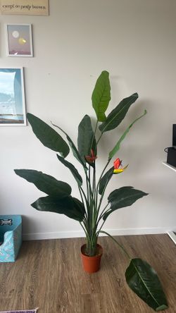 Faux birds of paradise plant