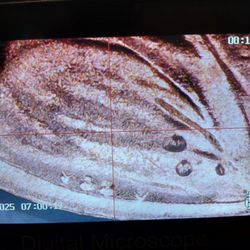 Lincoln Penny 2023 Extra V ,very Nice