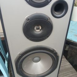 Pioneer house tower speaker 