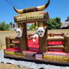 R & B Mechanical Bulls