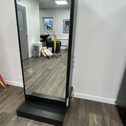 Modern Mirror Storage Cabinet