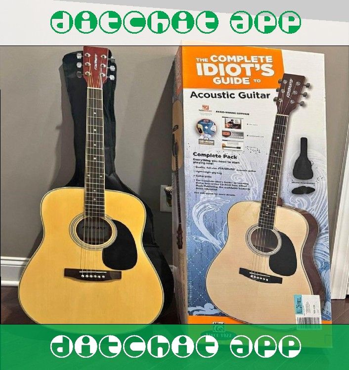 Strum Beautiful Music with Acoustic Electric Guitar Choices officer professional