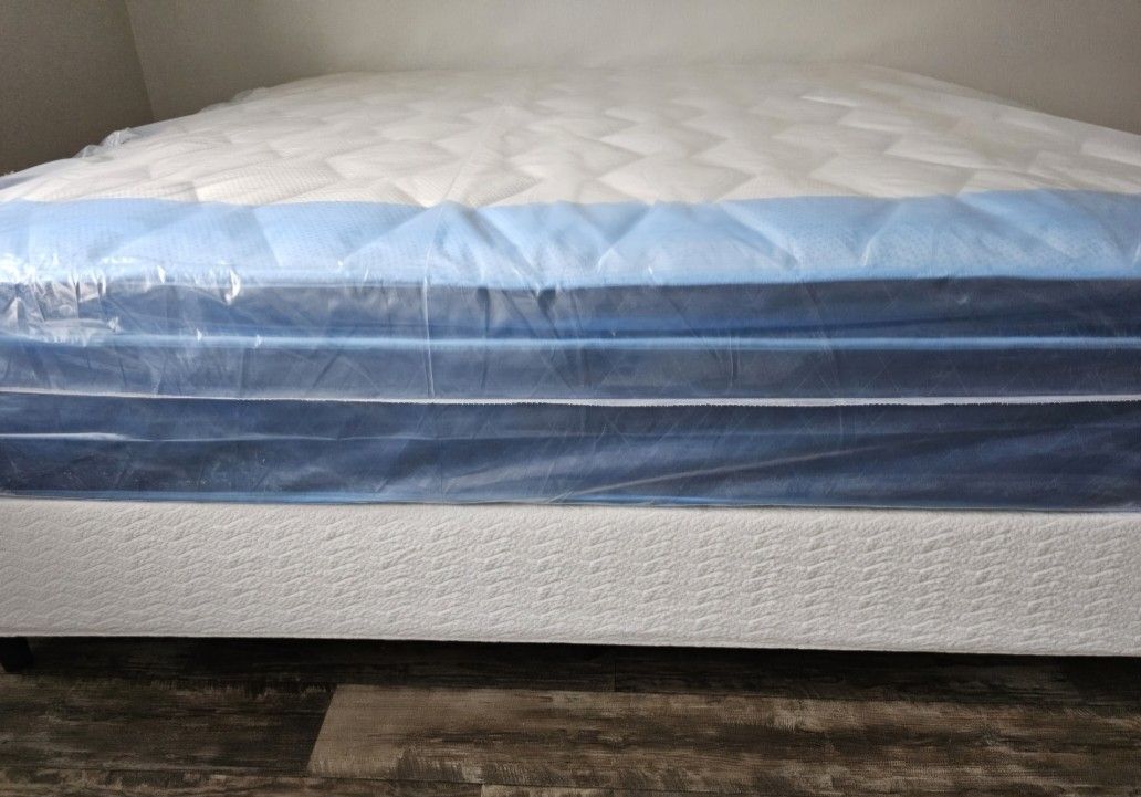24hrs Same Day Delivery Single Twin Mattress 99 Full Double 159 Queen Bed 179 King 229 California King 229 Frame 69 XL Twin Mattresses 