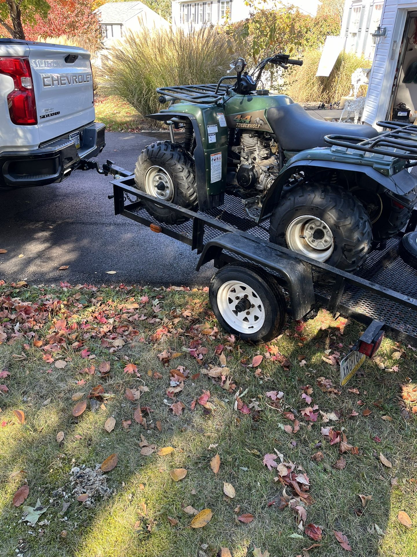 Yamaha Timberwolf 4x4 And Trailer