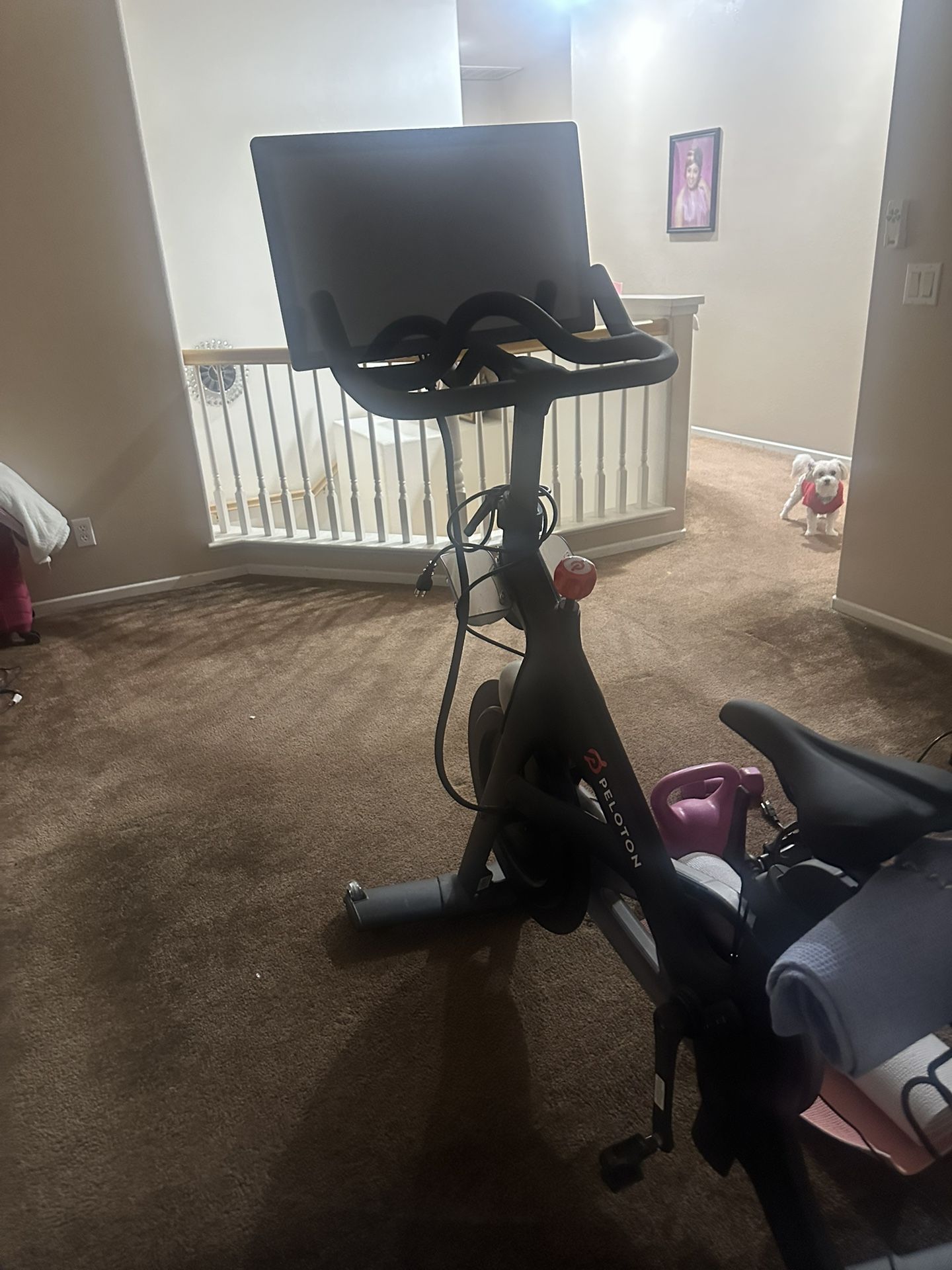 Peloton Cross Training Bike
