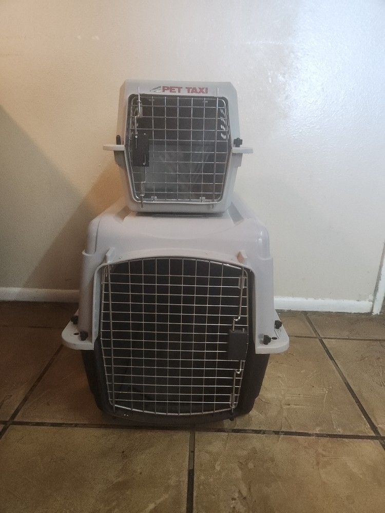 Dog Kennels Pet Taxi