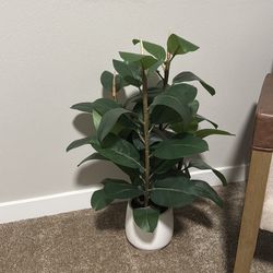 Fake Plant