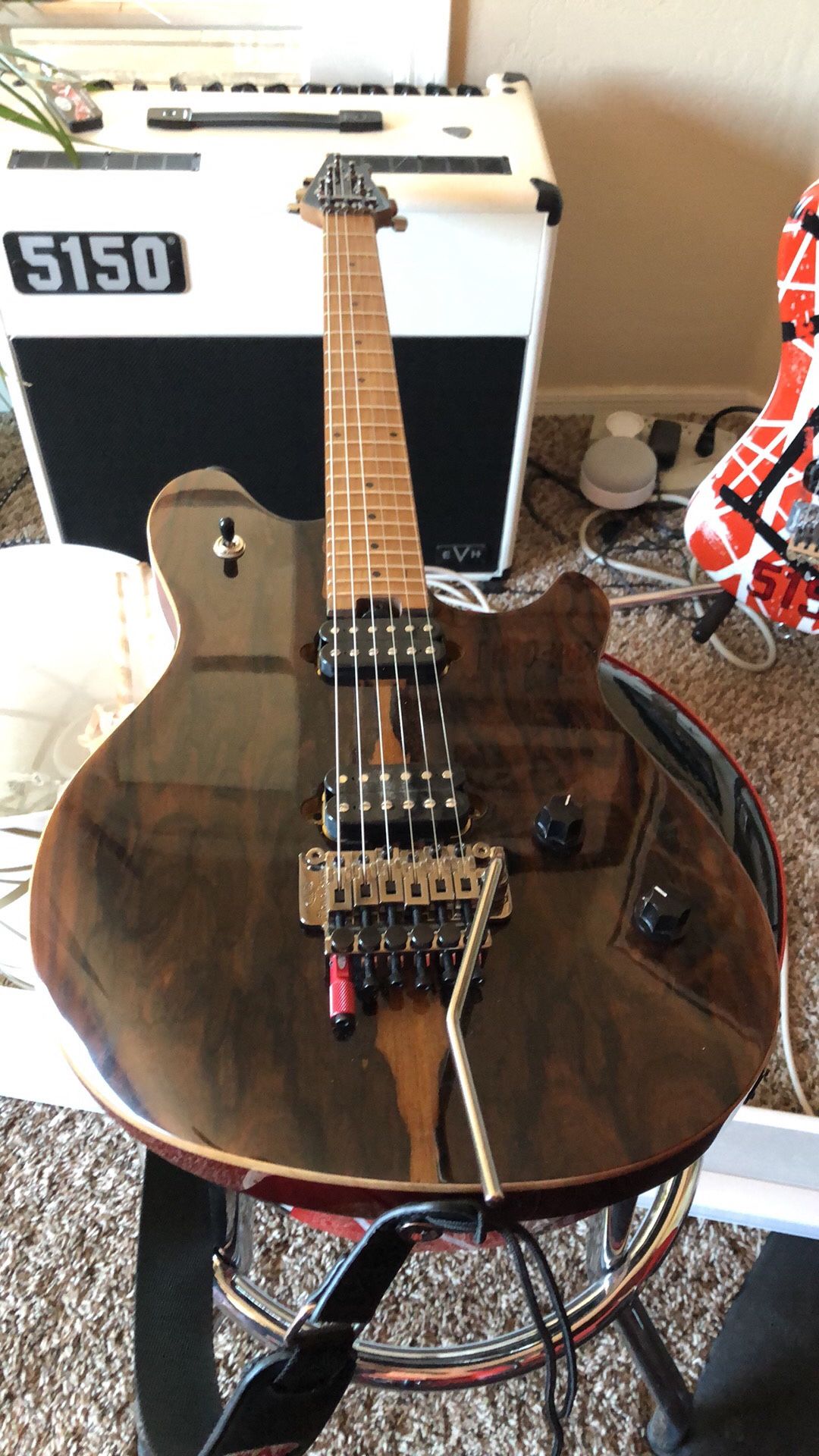 EVH Wolfgang Standard classic Ziricote