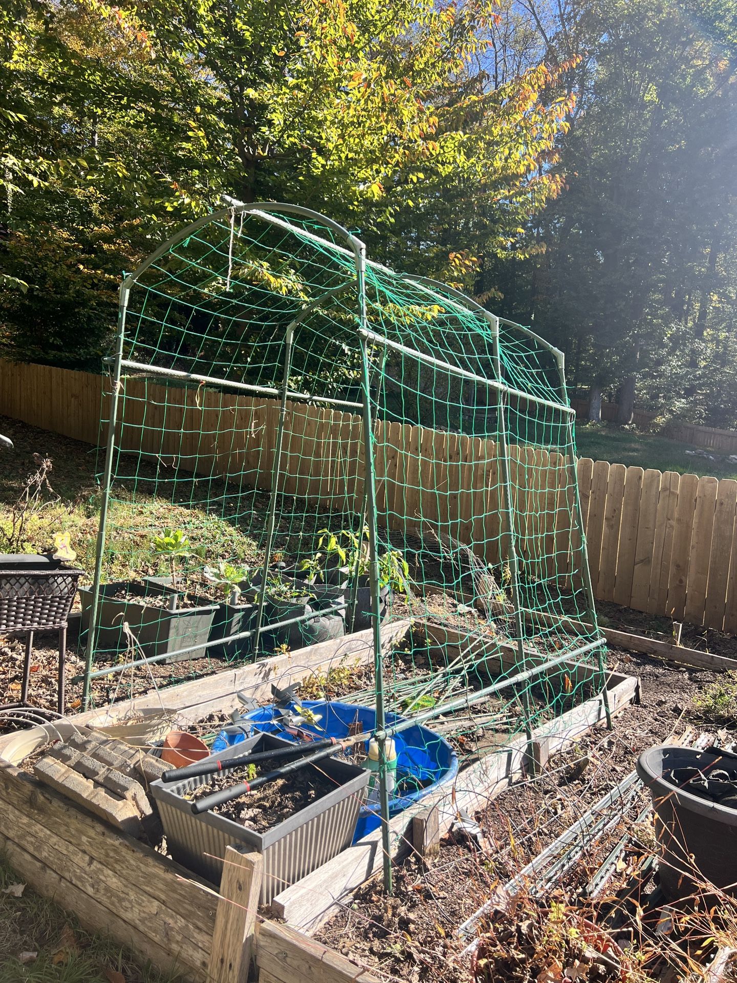 Garden Trellis
