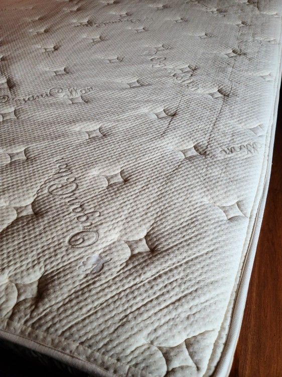 King Size Mattress with Box Springs( NO Bedframe)