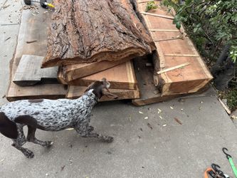 Redwood Slab SALE TODAY! 
