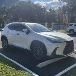 2024 Lexus NX