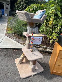 FREE cat tree