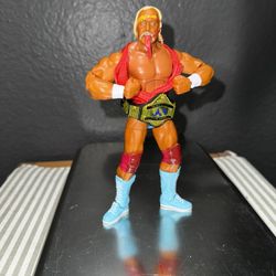 Hulk Hogan 
