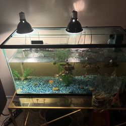 Tank For Sell  55  Gallon