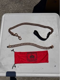 Pitbull Store Chain Dog Collar Cuban Link + Matching Bracelet Rose Gold