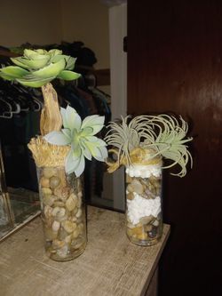Succulent Home Decor 