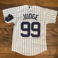 Judge Grey Or White Pinstripe Name Or No Name Men Youth Jersey
