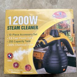 Steam Cleaner 