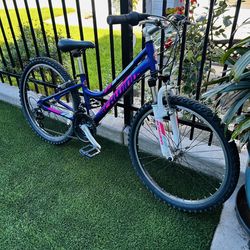 SCHWINN RANGER YOUTH MOUNTAIN BIKE 24” Wheels