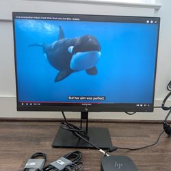 20" HP Monitor + WFH Docking Station